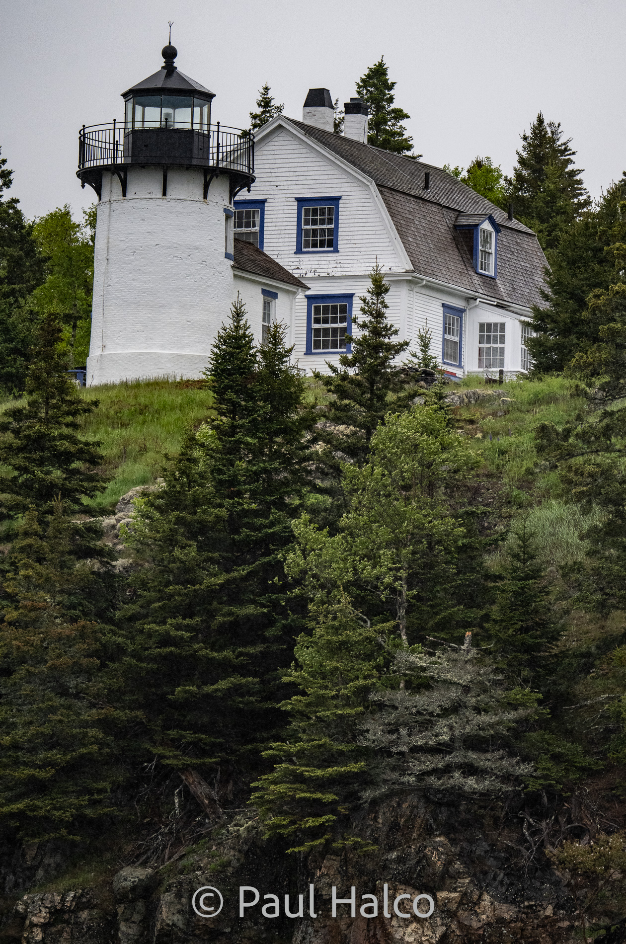 Paul Halco-Acadia NP-28
